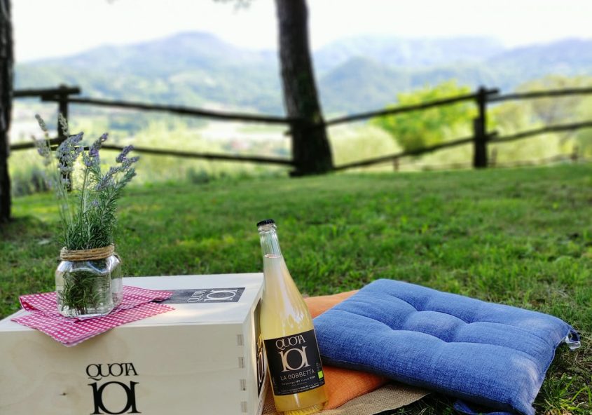 visita cantina colli euganei